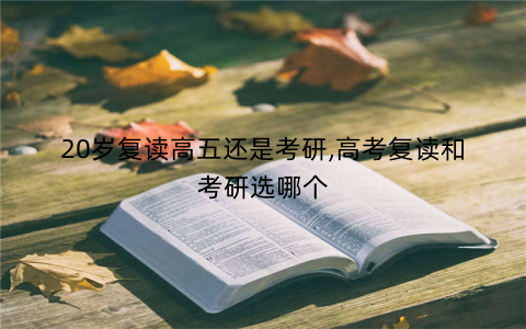 20岁复读高五还是考研,高考复读和考研选哪个