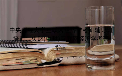 中央财经大学互联网经济学考研辅导班培训：央财(中财)互联网经济学考研指南