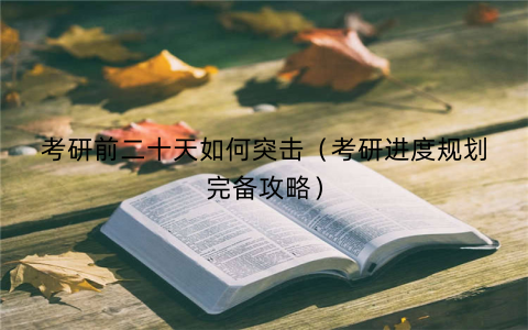 考研前二十天如何突击（考研进度规划完备攻略）
