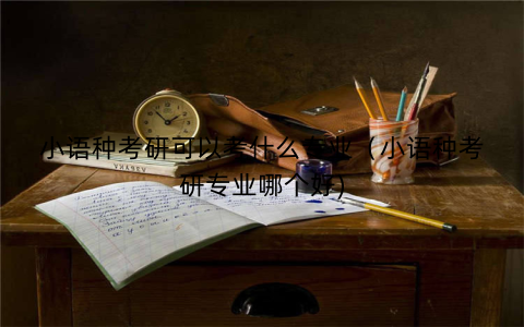 小语种考研可以考什么专业（小语种考研专业哪个好)