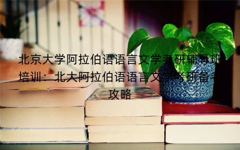 北京大学阿拉伯语语言文学考研辅导班培训：北大阿拉伯语语言文学考研备考攻略
