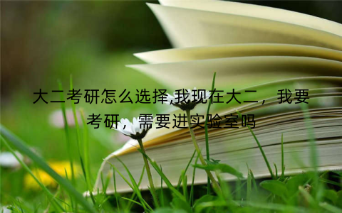 大二考研怎么选择,我现在大二，我要考研，需要进实验室吗