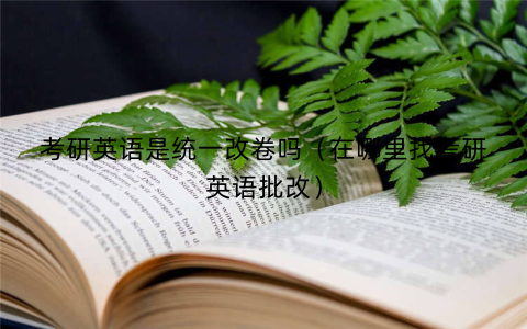 考研英语是统一改卷吗（在哪里找考研英语批改）