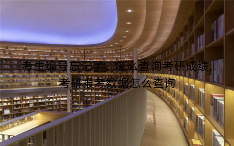 考生编号忘记了，怎么查询考研成绩,考研报考数据怎么查询