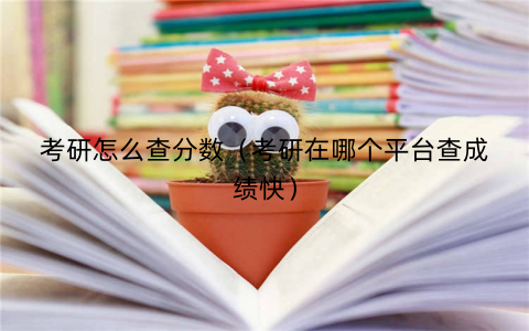 考研怎么查分数（考研在哪个平台查成绩快）