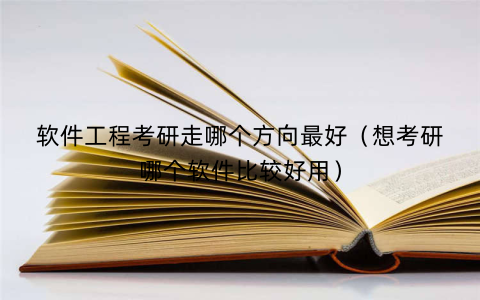 软件工程考研走哪个方向最好（想考研哪个软件比较好用）