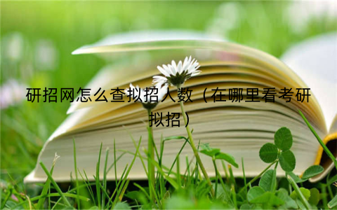 研招网怎么查拟招人数（在哪里看考研拟招）