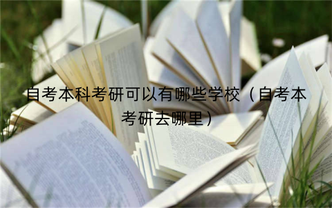 自考本科考研可以有哪些学校（自考本考研去哪里）