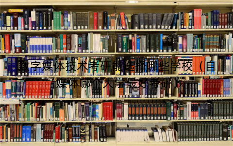 数字媒体技术考研能选择哪些学校（自媒体哪个大学最好考研）