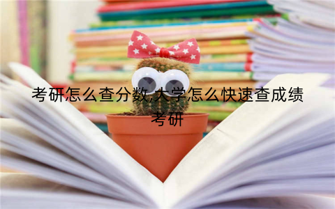 考研怎么查分数,大学怎么快速查成绩考研