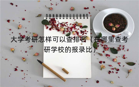 大学考研怎样可以查排名（在哪里查考研学校的报录比）