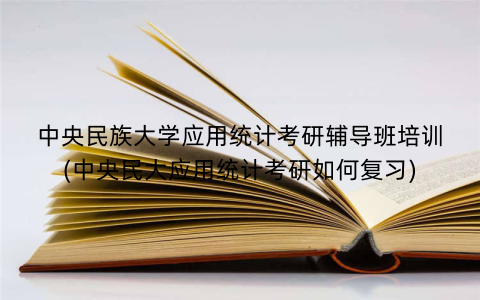 中央民族大学应用统计考研辅导班培训(中央民大应用统计考研如何复习)