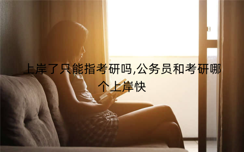 上岸了只能指考研吗,公务员和考研哪个上岸快