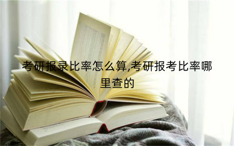 考研报录比率怎么算,考研报考比率哪里查的