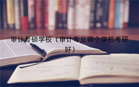 审计专硕学校（审计专业哪个学校考研好）