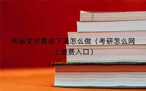 考研交完费接下来怎么做（考研怎么网上缴费入口）