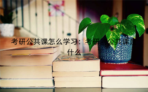 考研公共课怎么学习：考研的公共课是什么