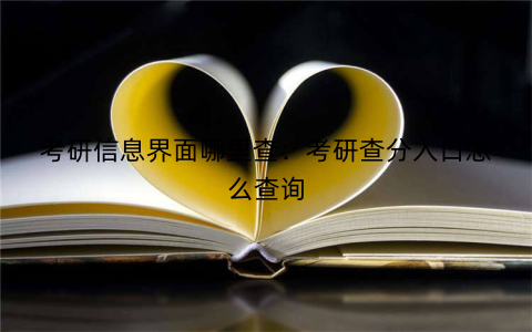 考研信息界面哪里查：考研查分入口怎么查询