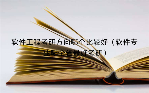 软件工程考研方向哪个比较好（软件专业哪个省最好考研）