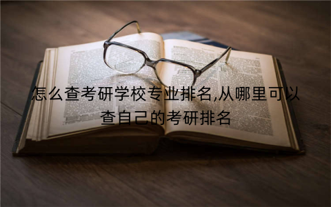怎么查考研学校专业排名,从哪里可以查自己的考研排名